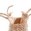 AMST BAG - Image 4