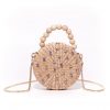 CLASSIC RHINA BAG (PURPLE MANGOSTEEN)